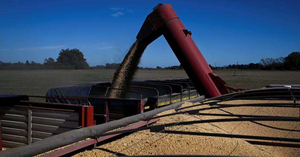 El campo se mostró entusiasmado de cara al futuro por la baja de retenciones