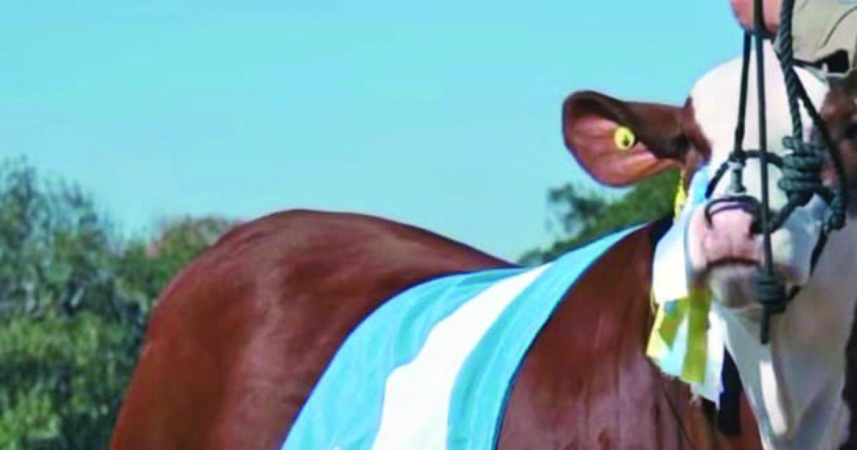 Los Braford criados en Santiago hicieron podio en Palermo