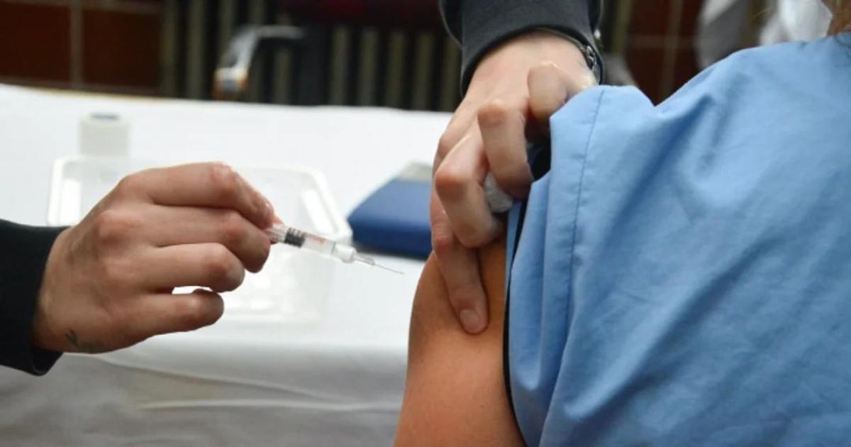 Dengue- recomiendan vacunarse en invierno para estar protegidos