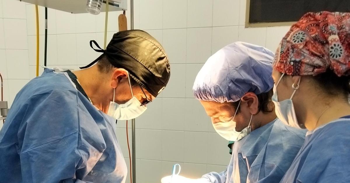 INTERVENCIÓN Un avance en el tratamiento de epilepsia refractaria