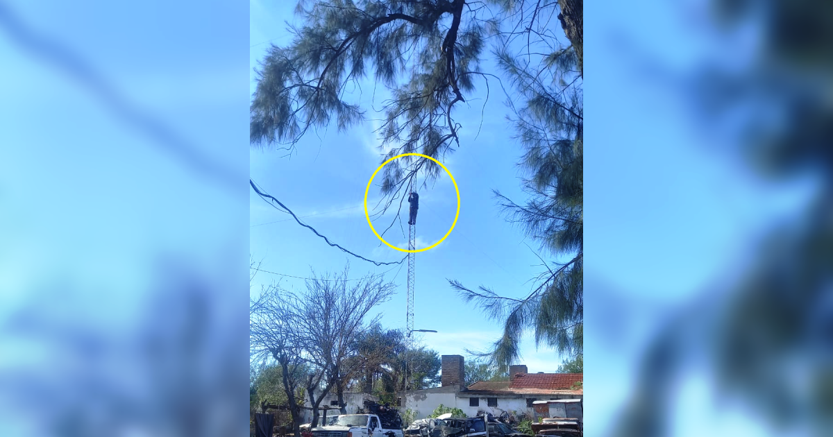 Tensioacuten en Beltraacuten- un detenido se subioacute a una antena de comunicacioacuten durante la visita familiar y causoacute revuelo