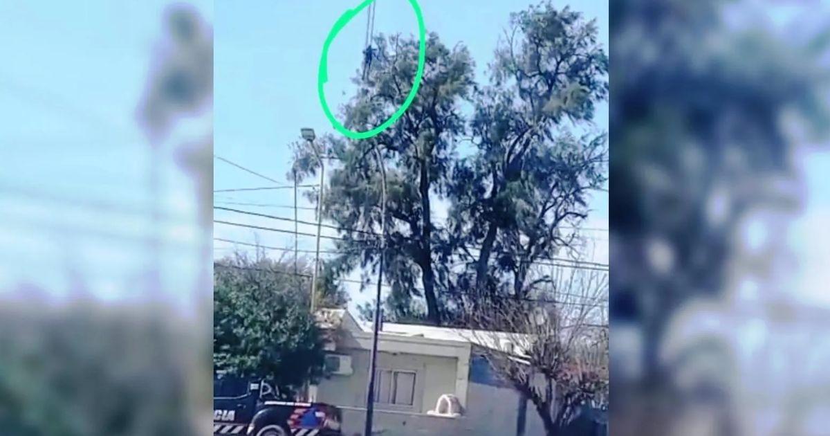 VIDEO- asiacute fue el momento en que el preso trepoacute la antena en la comisariacutea de Beltraacuten
