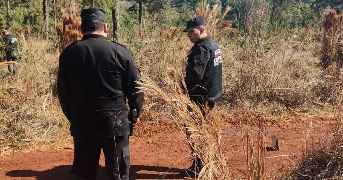 Un hombre fue asesinado en una plantacioacuten de yerba mate y le arrancaron los ojos