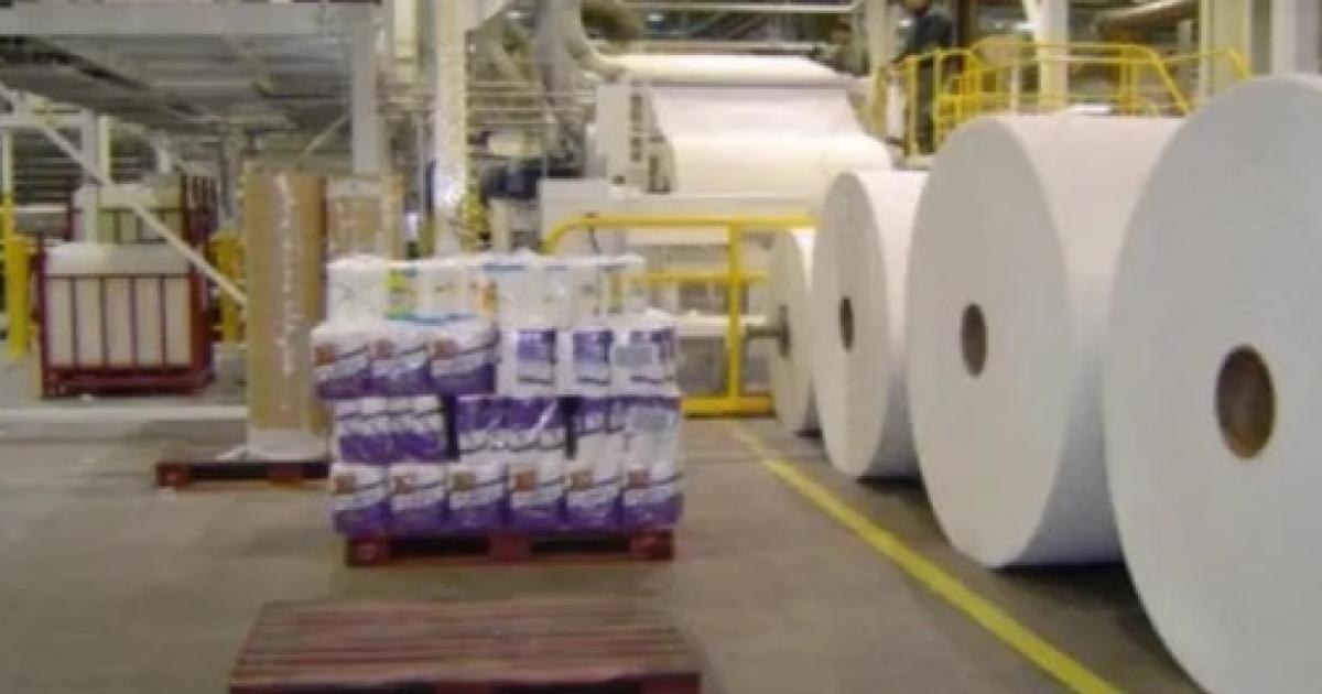 Celulosa paralizó sus plantas en plena crisis y an no acordó con acreedores