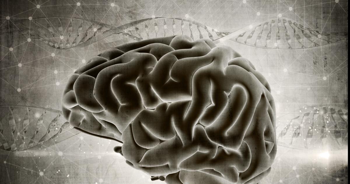 Al rescate de las habilidades blandas