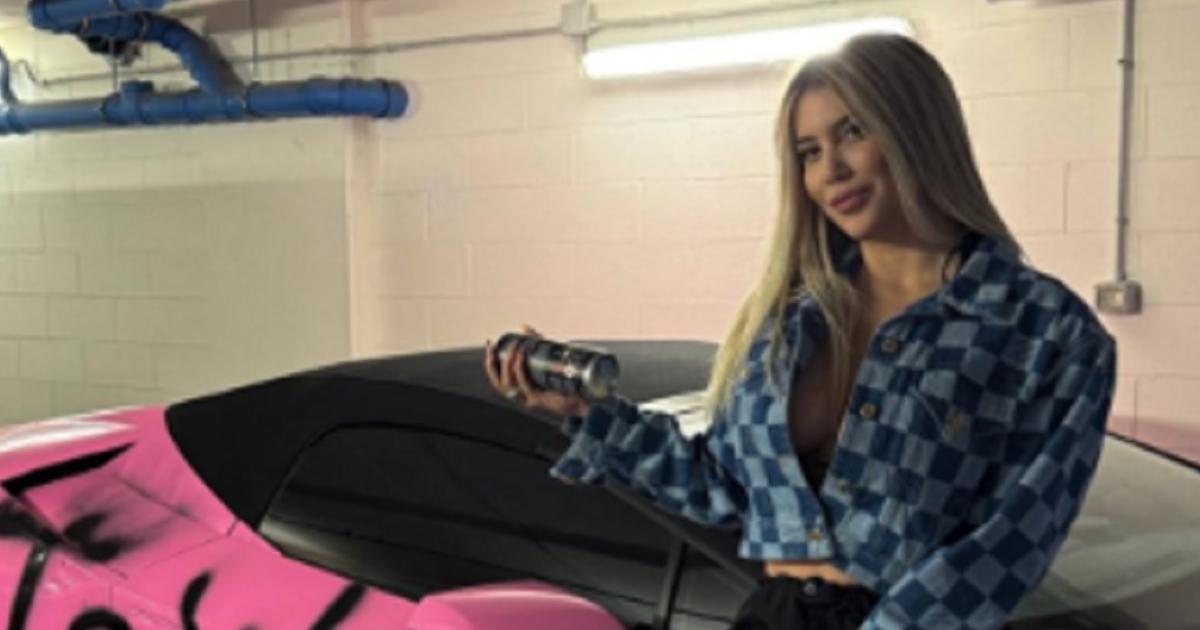 iquestMensaje artiacutestico o venganza estilizada- asiacute dejoacute su Lamborghini rosa 