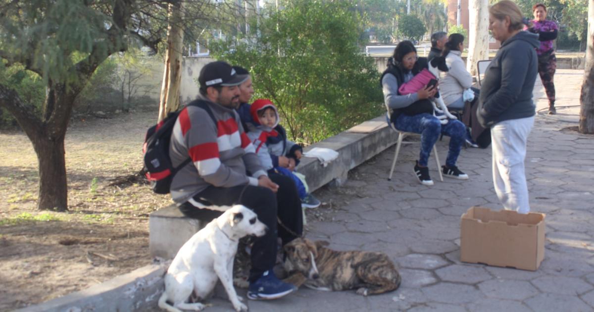 En Las Termas se impulsa la castracioacuten gratuita de mascotas