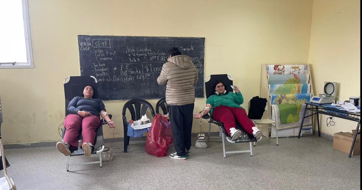 El jueves 14 se haraacute una colecta de sangre en el CAMM El Rincoacuten