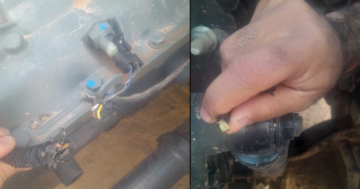 Colonia Dora- repudio por acto vandaacutelico contra un camioacuten municipal recieacuten entregado