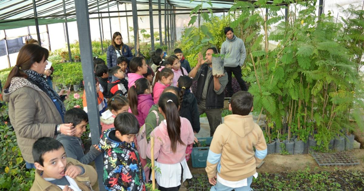 Los niños de Frías descubren La magia en el mundo de las plantas