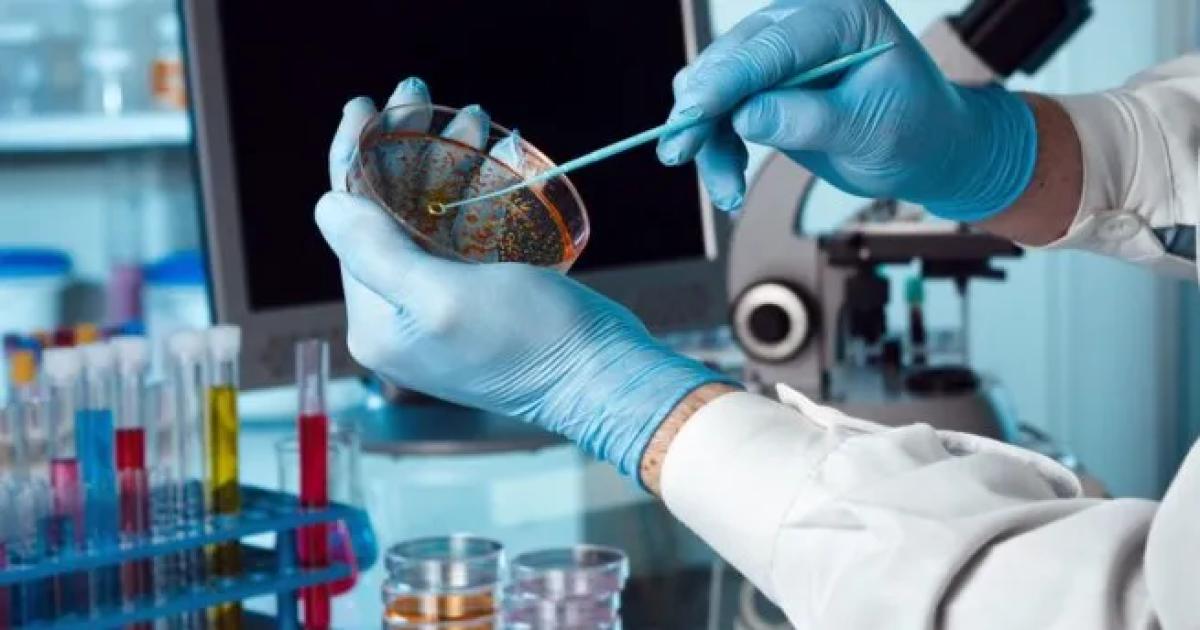 La biotecnologiacutea argentina requiere una urgente reforma en propiedad intelectual