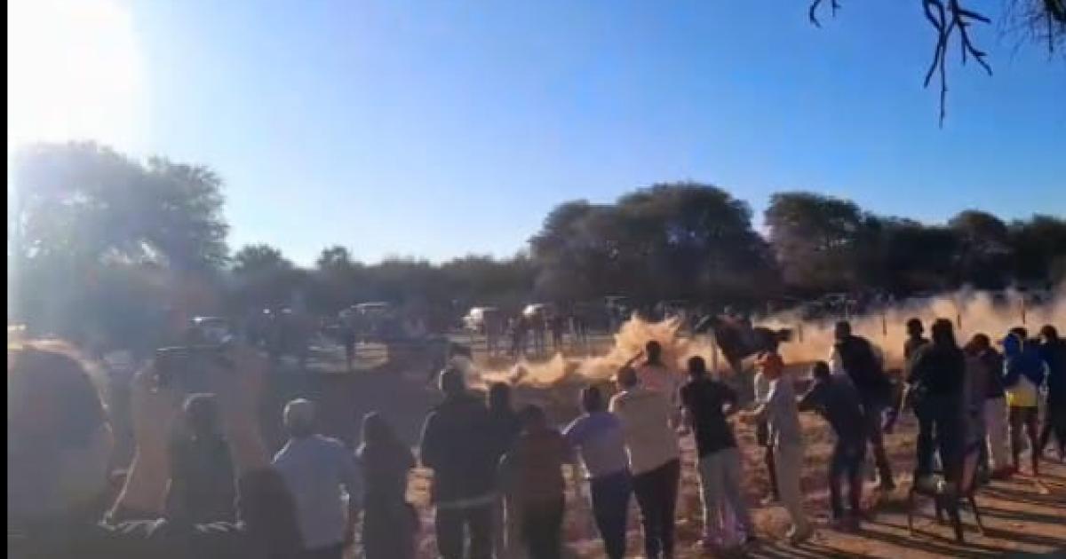 MUERTE A LA ALGARABIA- La tragedia de Elsa sobrevino en pleno jbilo Invadió la pista para saludar al ganador y fue embestida por el otro caballo Pereció en la ambulancia