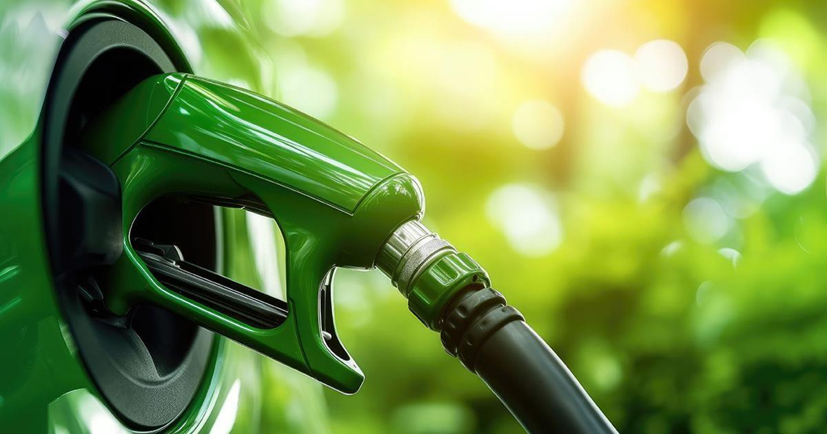 Se viene el aumento- el Gobierno Nacional fijoacute nuevos precios miacutenimos para biocombustibles