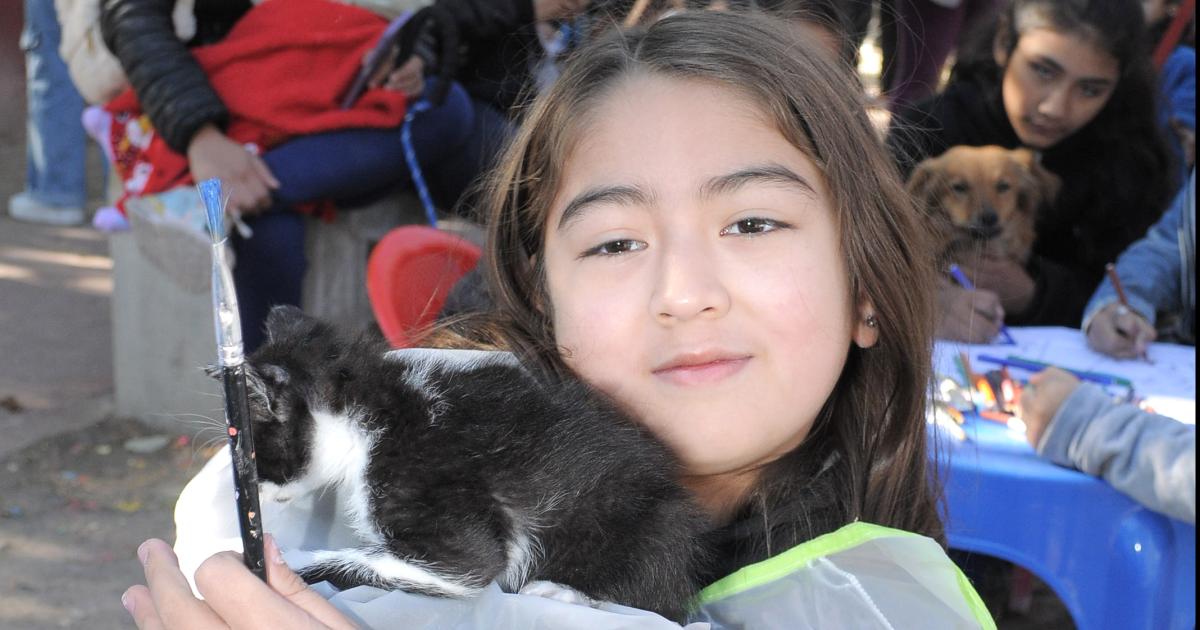 BENDICIOacuteN DE MASCOTAS