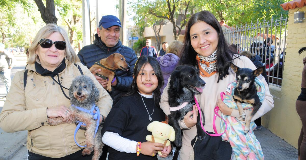 BENDICIOacuteN DE MASCOTAS