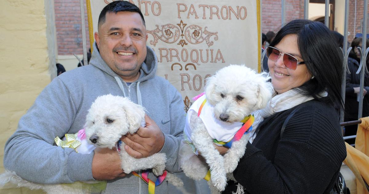 BENDICIOacuteN DE MASCOTAS