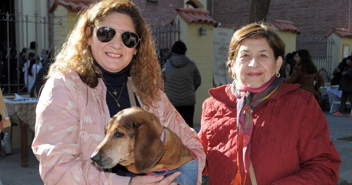 BENDICIOacuteN DE MASCOTAS