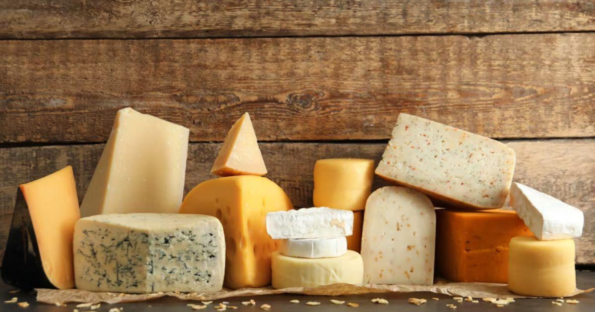 Las autoridades brindaron consejos para prevenir la enfermedad por el consumo de quesos