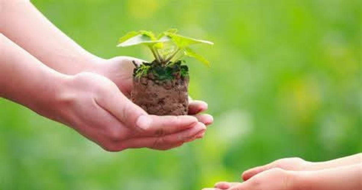 iquestCuaacutel es tu cosecha