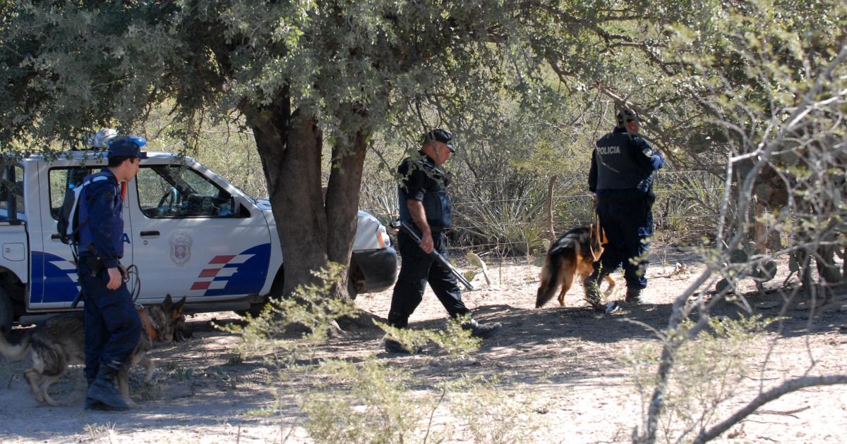 Cuatreros robaron 18 vacas valuadas en maacutes de 14000000
