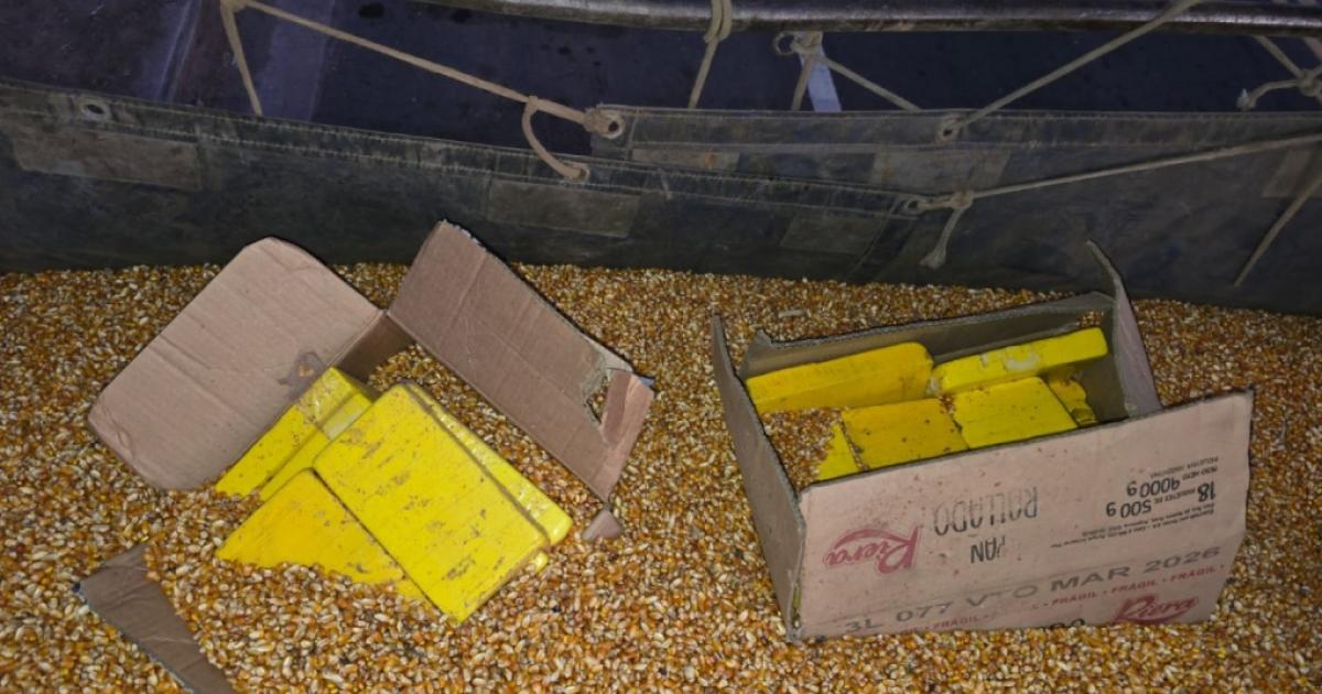 Golpe al narcotraacutefico- cayoacute en Santiago del Estero un camioacuten con maacutes de 44 kilos de cocaiacutena ocultos entre granos de maiacutez