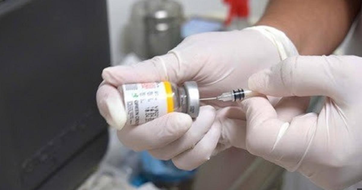 El Gobierno limitaraacute la vacunacioacuten gratuita contra la fiebre amarilla a zonas endeacutemicas