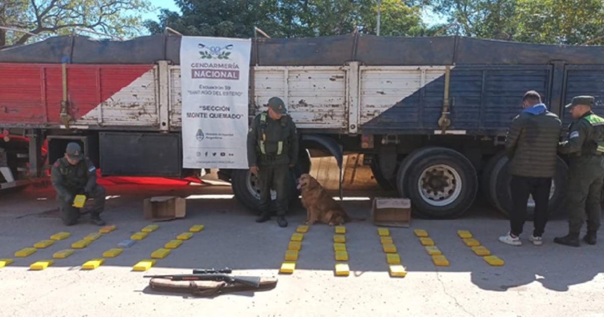 INTUITIVA- El can se plantó en la carga de maíz y chau a la suerte del camionero En minutos los gendarmes descubrieron numerosos ladrillos con cocaína La carga era trasladada desde Salta a Santa Fe