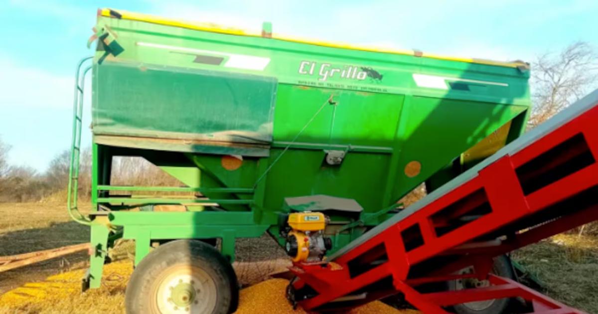 Conmoción- una nena de 5 años falleció tras caer en una tolva