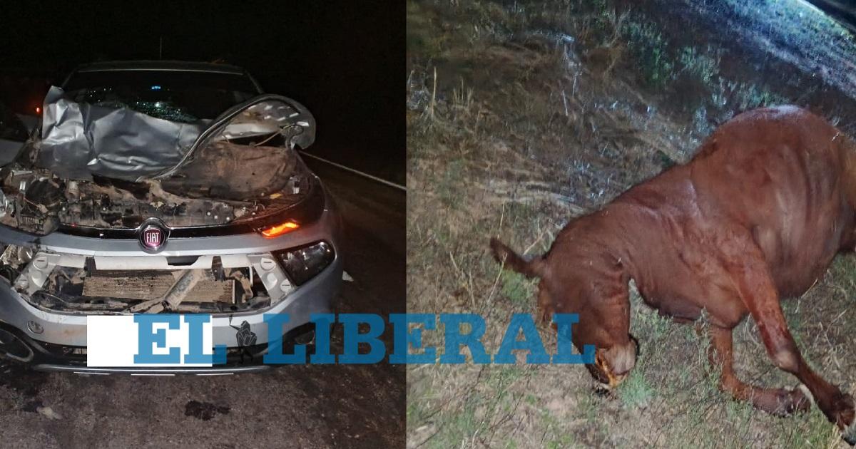Una camioneta chocoacute contra un animal suelto en la ruta 89- se registraron dantildeos materiales