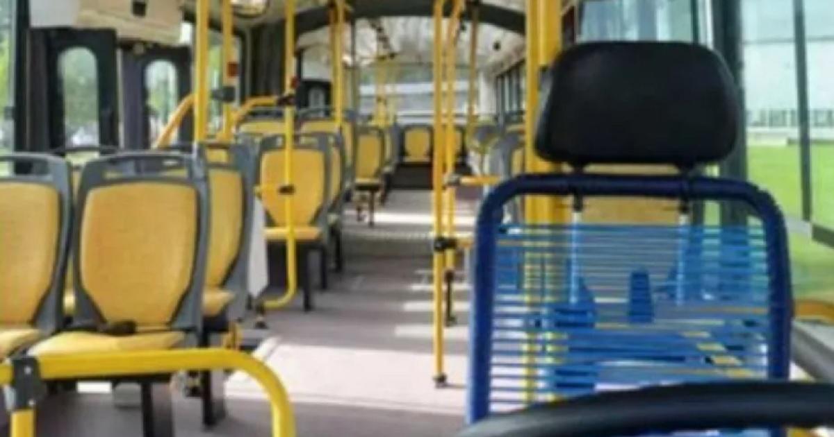 Una mujer fue asaltada cuando bajoacute del colectivo- la apuntaron con un arma de fuego