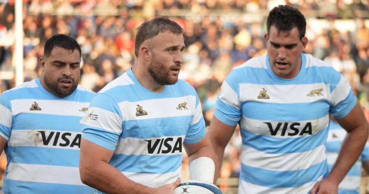 Los Pumas se mediraacuten esta tarde ante los All Blacks en el Rugby Championship