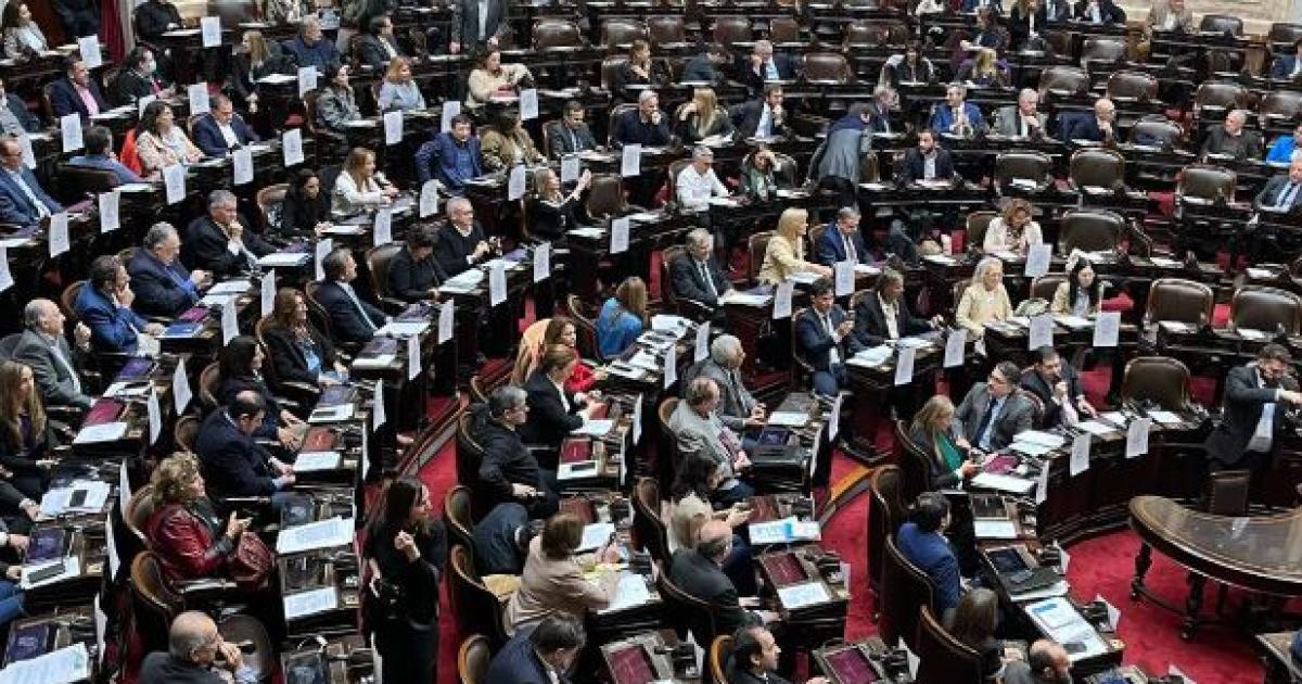 Zago rechazaraacute los vetos a la suba de jubilaciones y emergencia en discapacidad