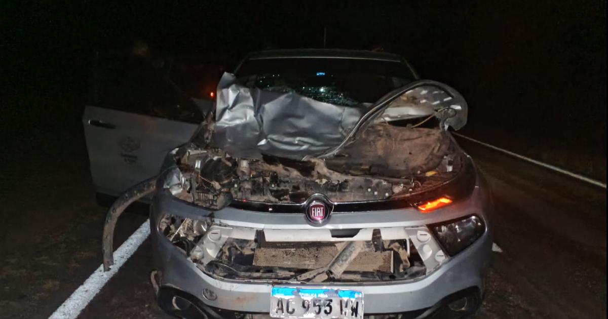 Una familia en camioneta chocoacute un animal en la R89