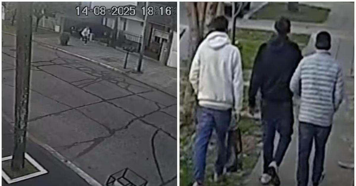 Se me escapoacute el tiro- declaroacute uno de los detenidos por el caso de la mujer asesinada delante de su hijo 