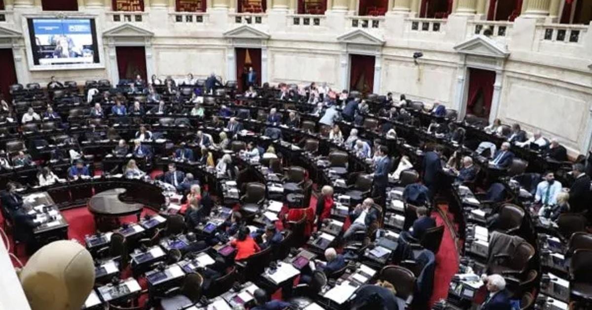 Quieacutenes son los diputados libertarios que dieron quoacuterum para frenar la Ley de Emergencia en Discapacidad