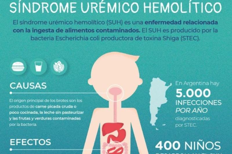 PATOLOGÍA El Síndrome Urémico Hemolítico puede prevenirse con simples acciones en el hogar