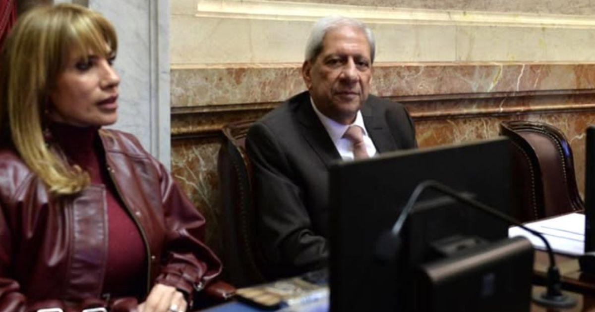 Los senadores de la oposición intentarn darle luz verde a todos estos proyectos que recaen sobre mbitos esenciales para la sociedad argentina