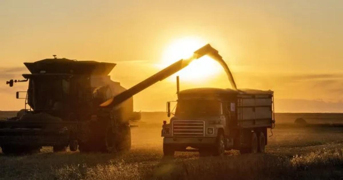 Del campo a los mercados globales- coacutemo el agro puede liderar la proacutexima etapa del crecimiento argentino