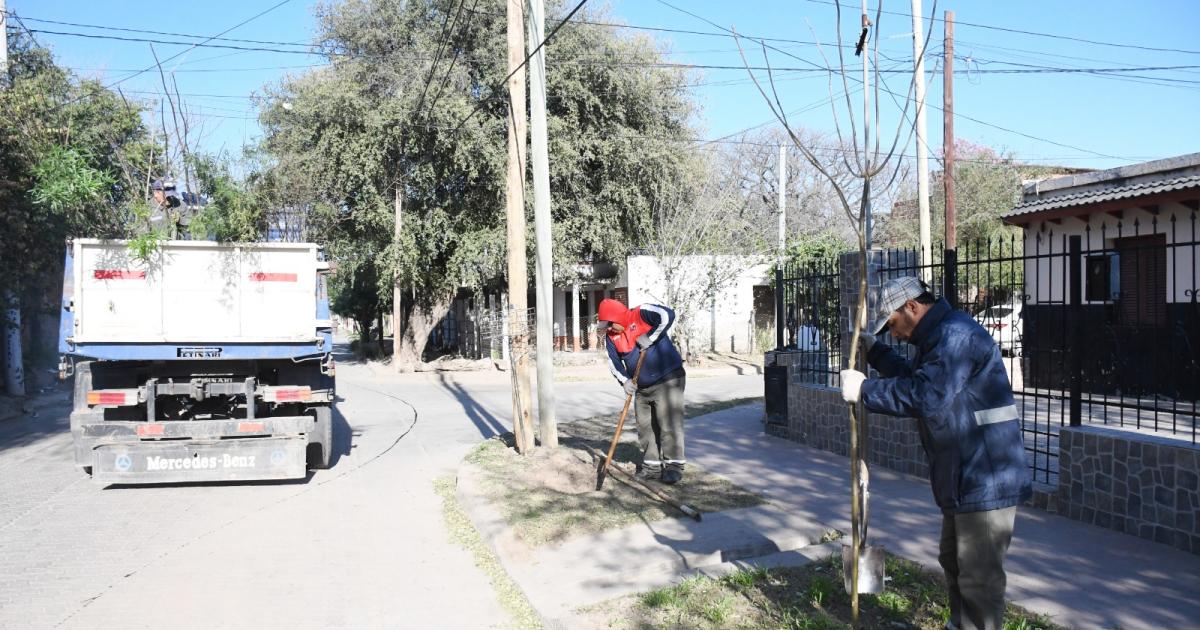Plantan ejemplares arbóreos en el barrio Huaico Hondo