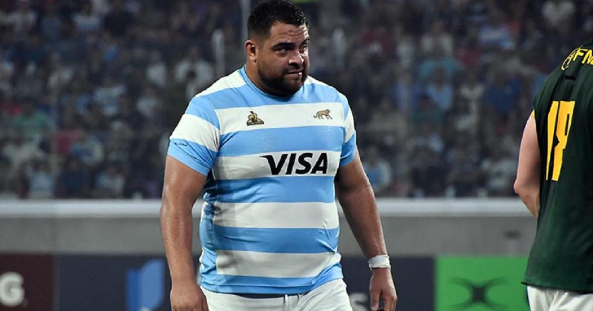 Los Pumas volveraacuten a tener garra santiaguentildea ante los All Blacks