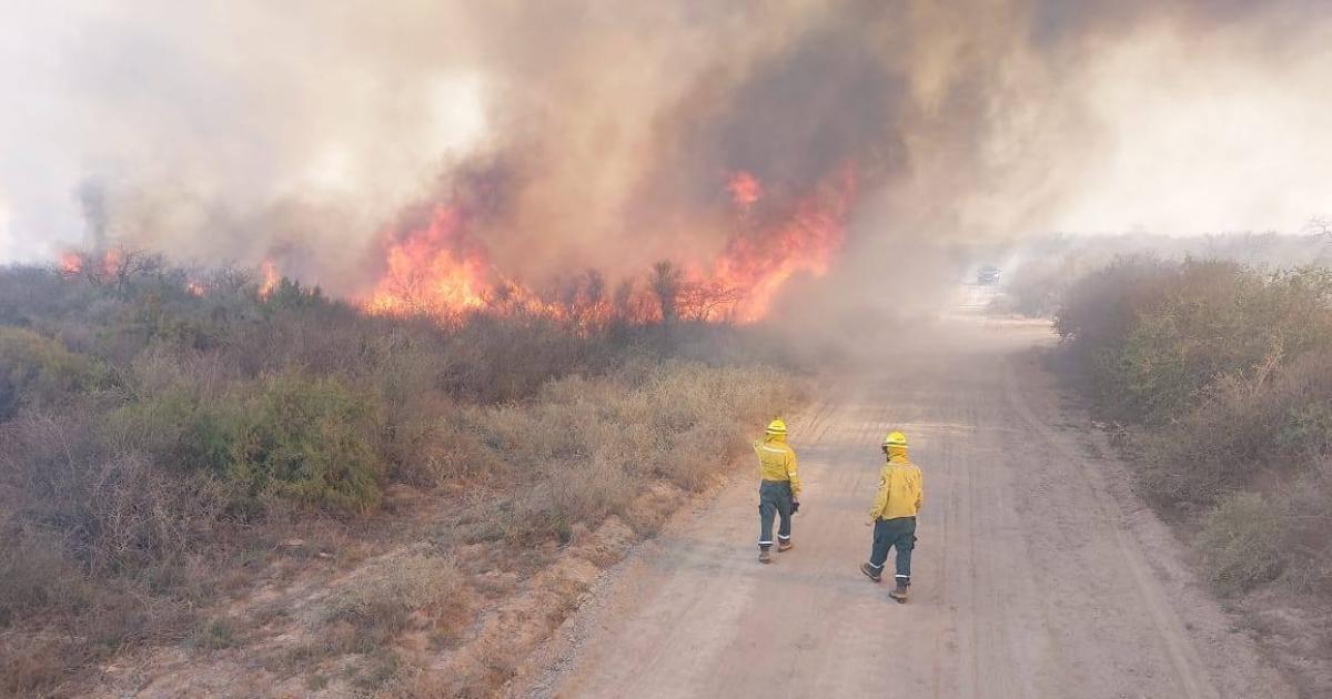 Bomberos de Las Termas y Clodomira luchan contra incendios forestales