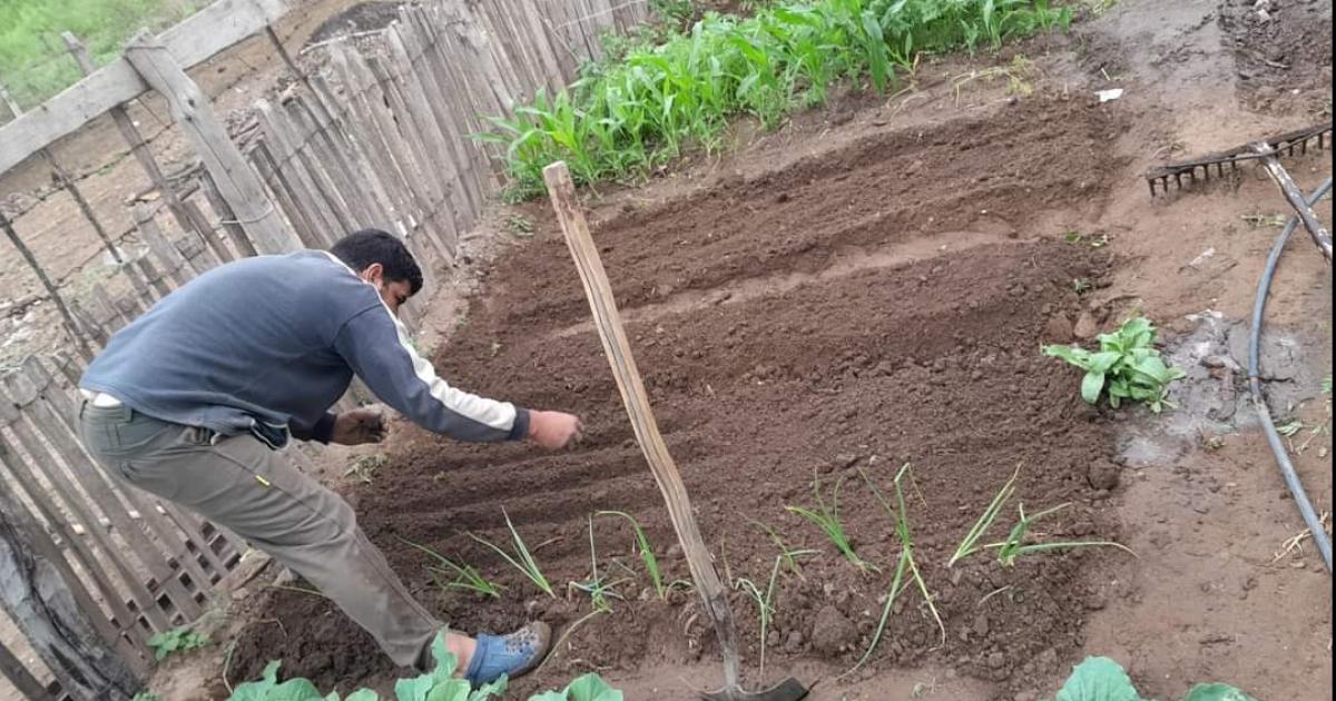 En la ciudad de Friacuteas se lanza hoy el programa Huerta en mi Barrio
