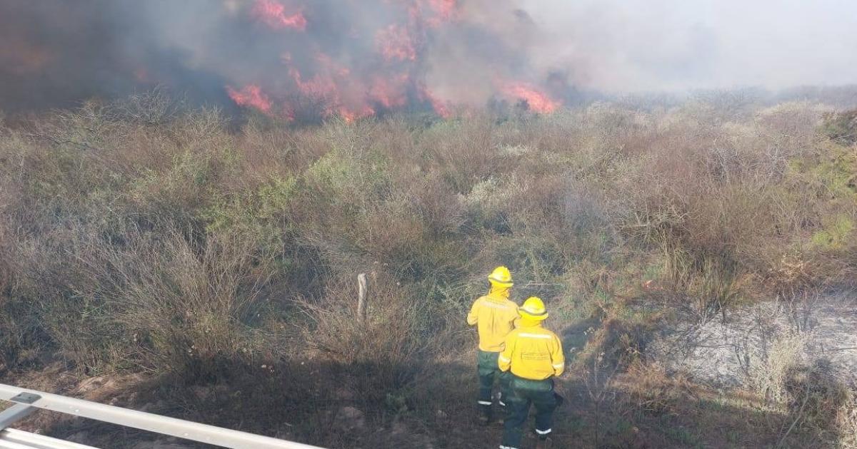 Quema de pastizales destruyoacute 15 transformadores y dejoacute sin luz a gran parte del interior santiaguentildeo