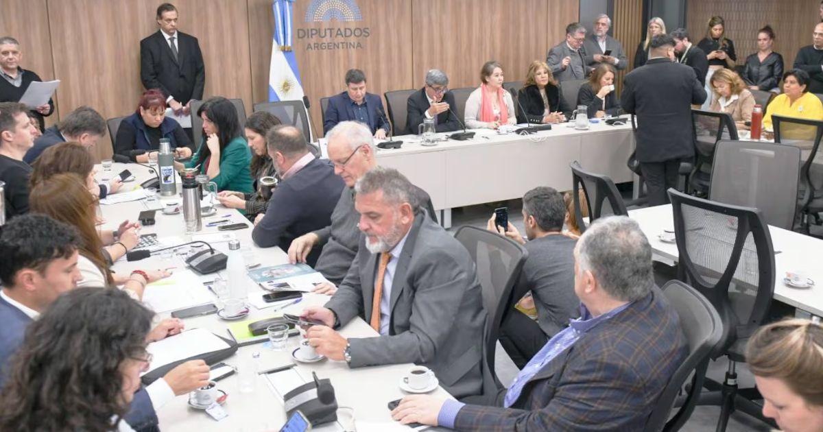 Diputados analizan crear una comisión que investigue el escndalo en la ANDIS