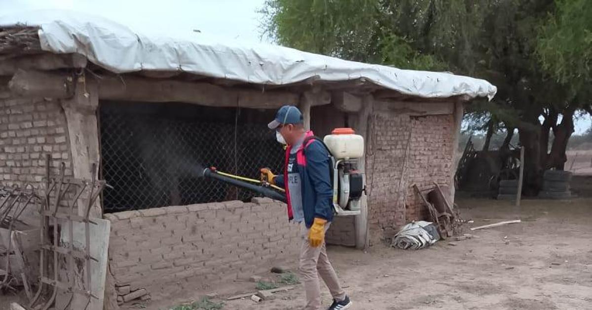 Operativo de fumigaciones domiciliarias en el paraje Mistol