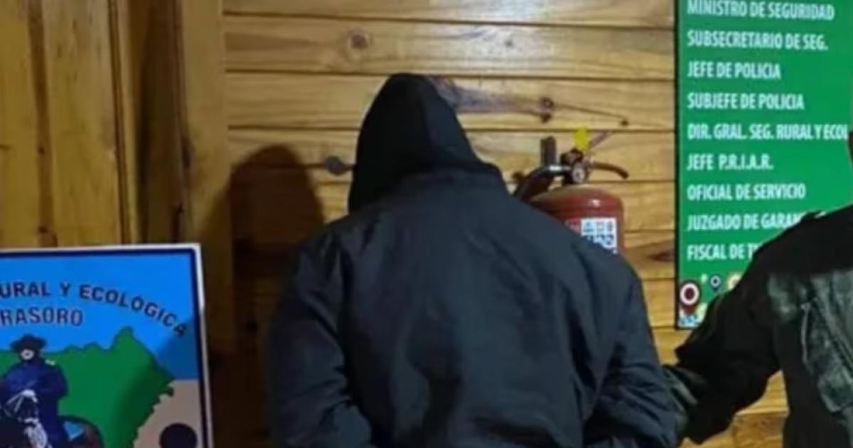 Horror- detienen a un hombre que faenaba un caballo robado y vendía la carne en el barrio