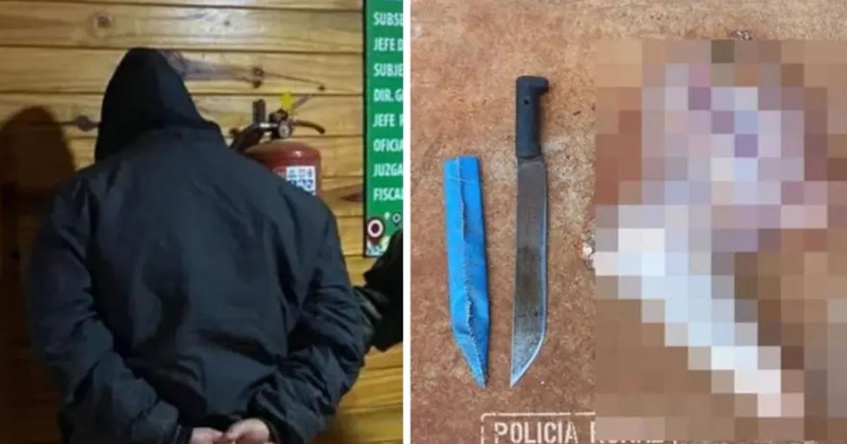 Roboacute un caballo lo faenoacute y vendioacute en la calle como ternera