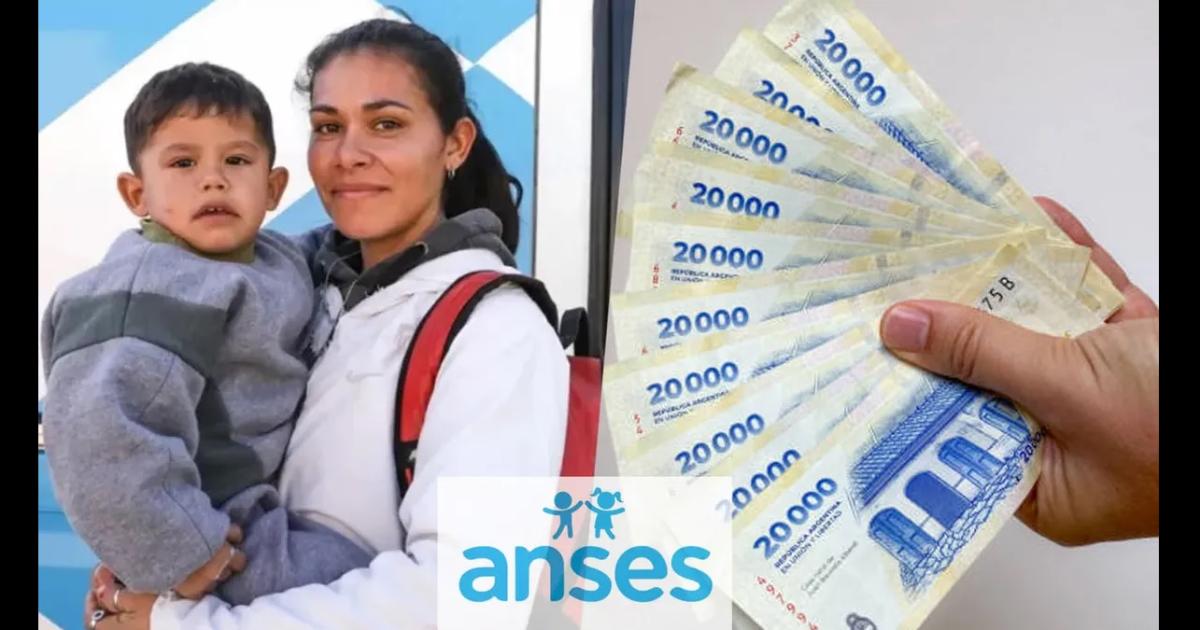 Libreta AUH 2025- paso a paso coacutemo cobrar el complemento retenido y obtener el 20-en-porciento- extra