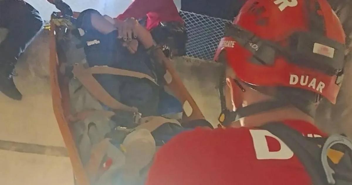 Quiso salvar a su gato y cayoacute del tercer piso- terminoacute hospitalizada con graves fracturas