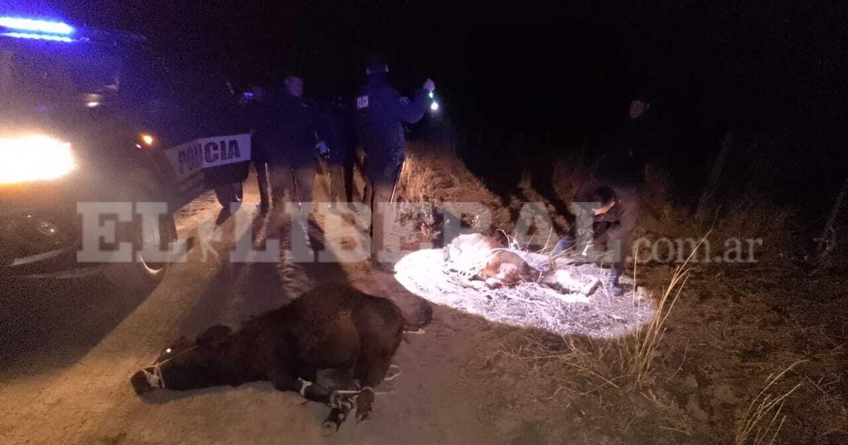 Persecucioacuten en Ruta 34- interceptaron un auto con restos de animales vacunos y detuvieron a un hombre